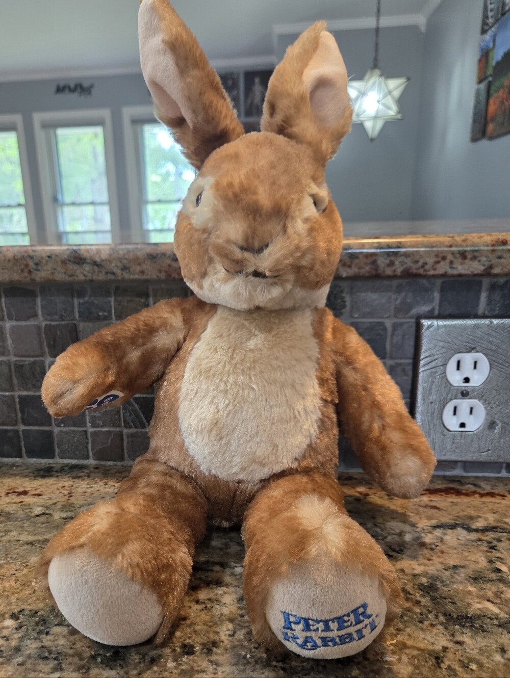 Build-a-Bear Peter Rabbit Brown Plush Easter Bunny Stuffed Animal  20"